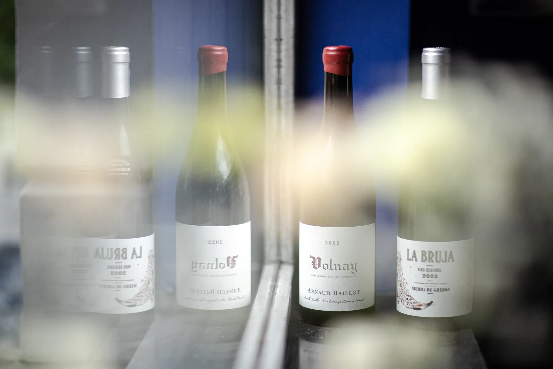 Natural wine at De Matroos en het Meisje in Katendrecht, Rotterdam